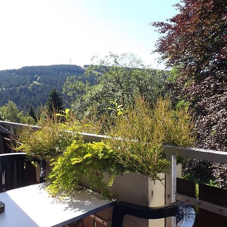 戈斯拉尔Residenz Bocksberg-Blick & St. Florian别墅 外观 照片