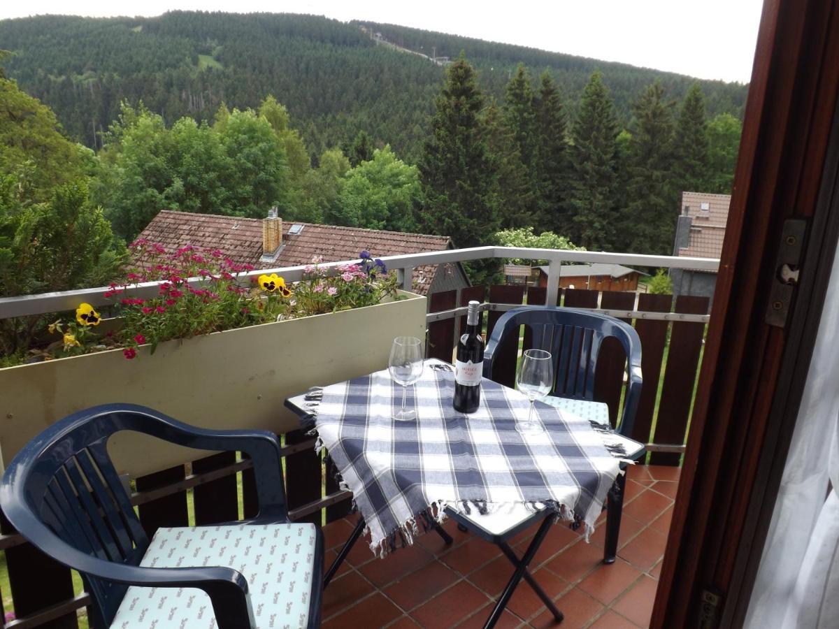 戈斯拉尔Residenz Bocksberg-Blick & St. Florian别墅 外观 照片
